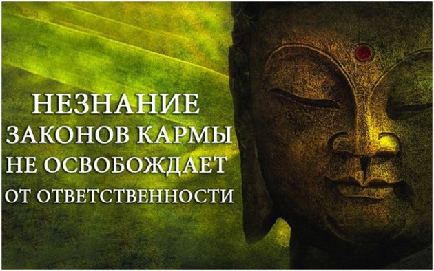 12 законов кармы